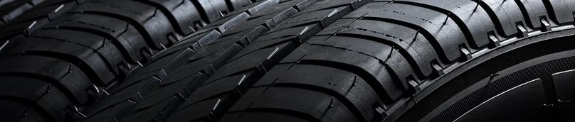 사이즈 검색 배경