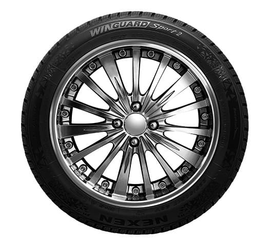 WINGUARD SPORT